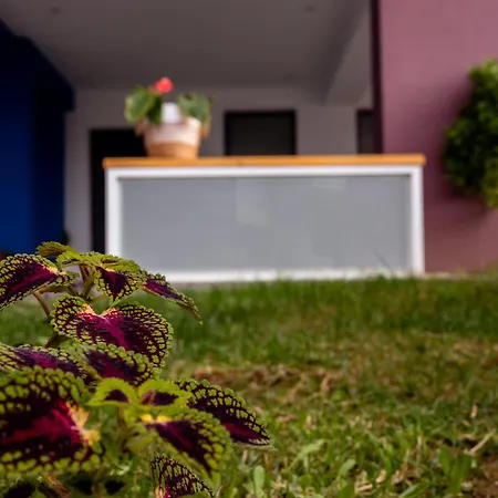 Pagani Blue - Luxury Maisonette B2 *